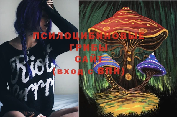 трава Инсар
