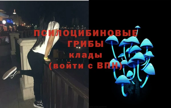 трава Инсар