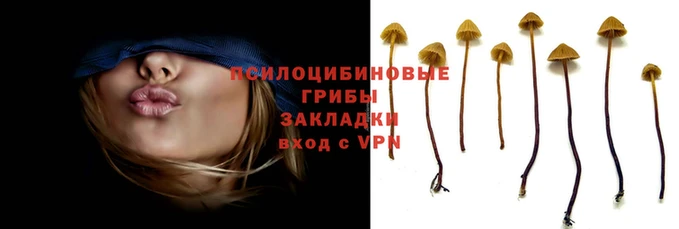 метадон Зеленокумск