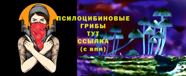 MDMA Инта