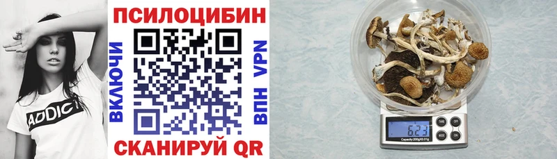 Галлюциногенные грибы Magic Shrooms  Назрань 
